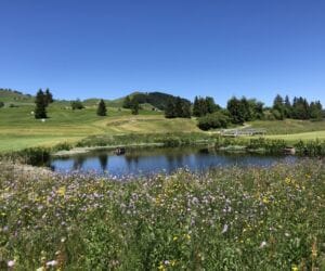 Golfweekend in der Ostschweiz
